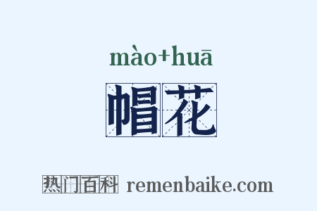 帽花是什么意思的图片